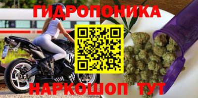 ALPHA PVP Дубна