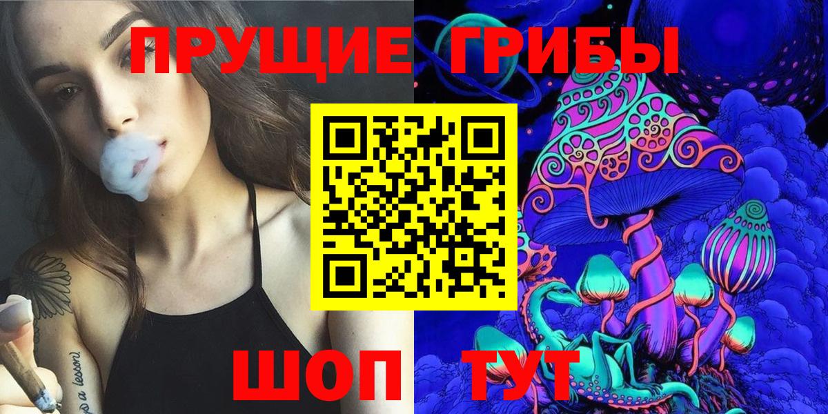 Галлюциногенные грибы Psilocybine cubensis Великий Новгород