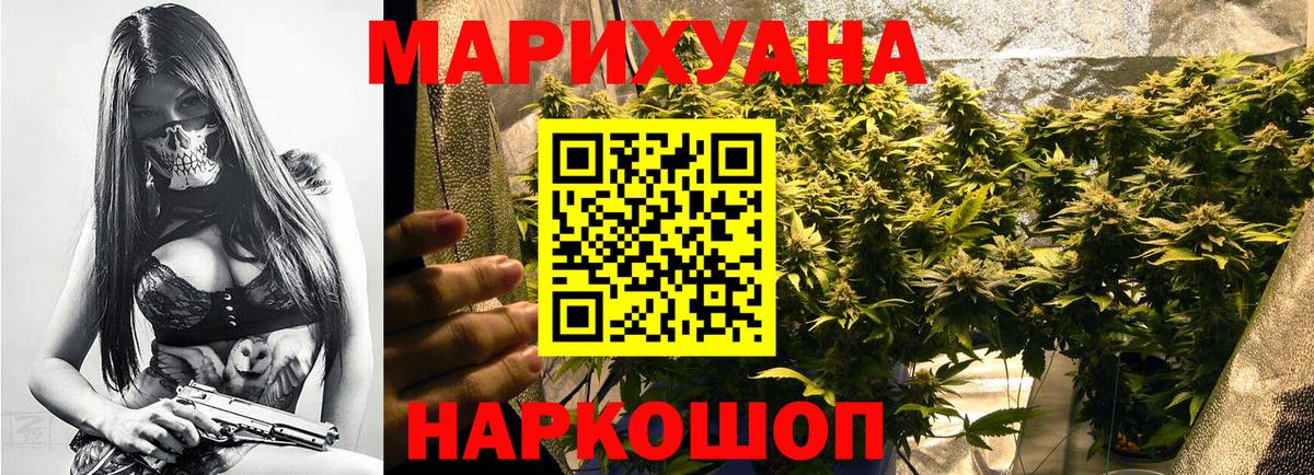 Шишки марихуана план Великий Новгород